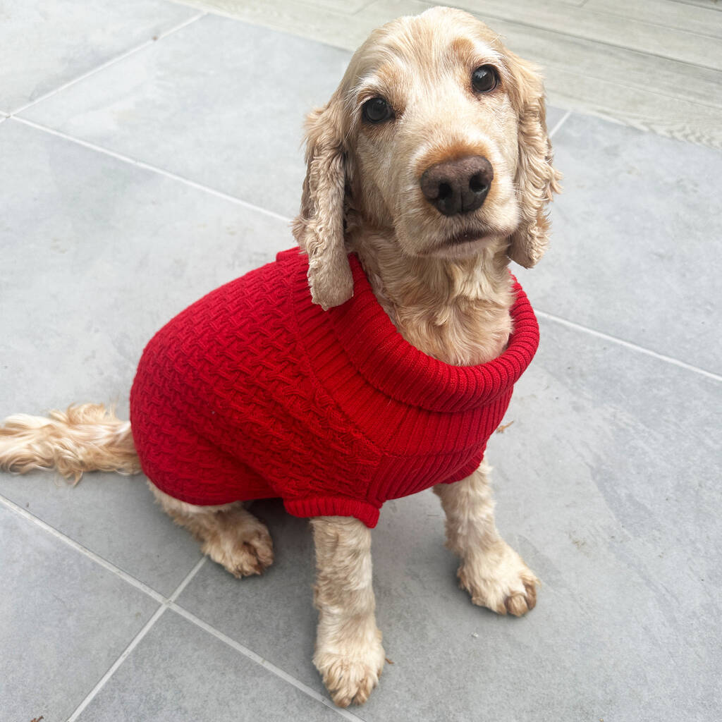 Red Cable Knitted Jumper, 1 of 5