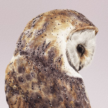 Pair Of Barn Owl Prints, 5 of 6