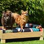 Wooden Dog Bed Solid Oak, thumbnail 1 of 12