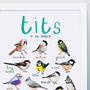 'Tits Of The World' Bird Art Print, thumbnail 2 of 4