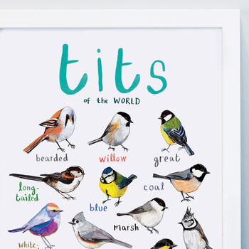 'Tits Of The World' Bird Art Print, 2 of 4