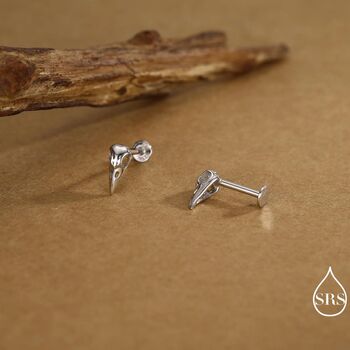 Sterling Silver Bird Skull Internally Threaded Flat Back Earrings, 4 of 12