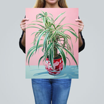 Spider Plant Lover Pink Green Blue Wall Art Print, 2 of 6