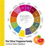 Three ‘Citrus’ Fragranced Handmade French Soaps, thumbnail 4 of 10