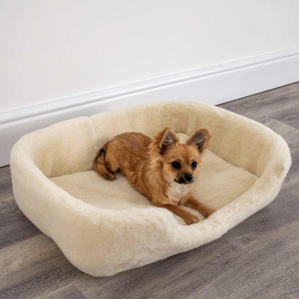 Merino Wool Dog Bed, 1 of 3