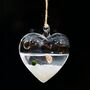 Hanging Glass Heart Marimo Moss Ball Terrarium, thumbnail 2 of 4
