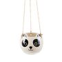 Cute Panda Planter With Choice Of Plants, thumbnail 4 of 4