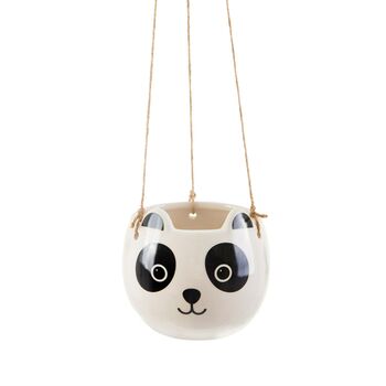 Cute Panda Planter With Choice Of Plants, 4 of 4