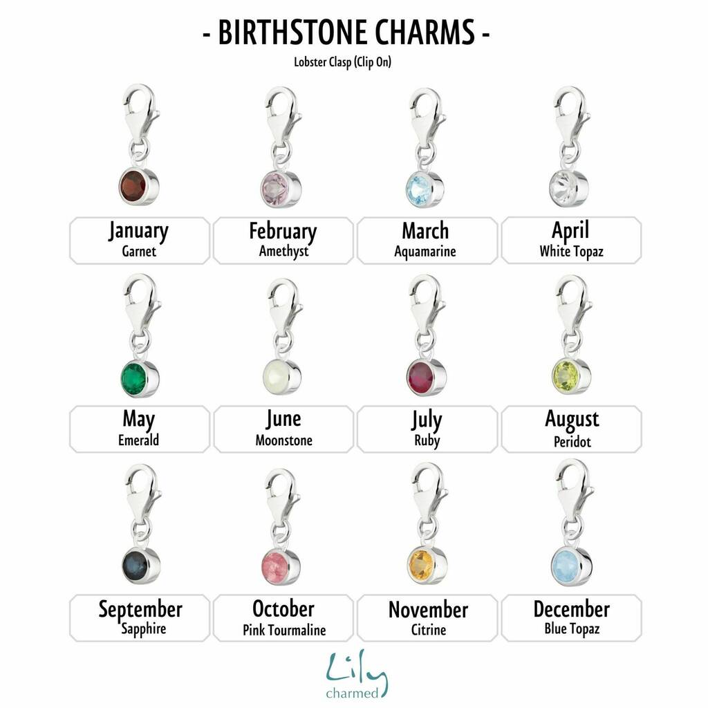 Sterling Silver Birthstone Gemstone Charm By Lily Charmed ...