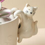 Ceramic Cat Planter Hanger, thumbnail 1 of 2