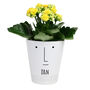 Man's Face Personalised Plant Pot, thumbnail 2 of 5