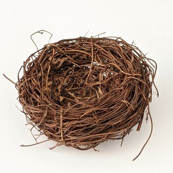 Decorative Twig Bird Nest, 6 of 6