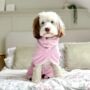 Personalised Luxury Dog Drying Coat, thumbnail 6 of 11