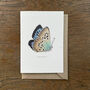 Butterfly Cards Mixed Pack Of Seven Designs, thumbnail 4 of 10