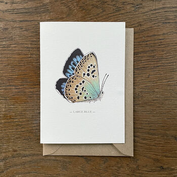 Butterfly Cards Mixed Pack Of Seven Designs, 4 of 10