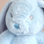 Personalised Blue Baby Boy Bunny Soft Toy, thumbnail 3 of 4
