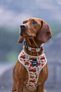 Pumpkin Patch Cart Dog Harness, 6 of 11