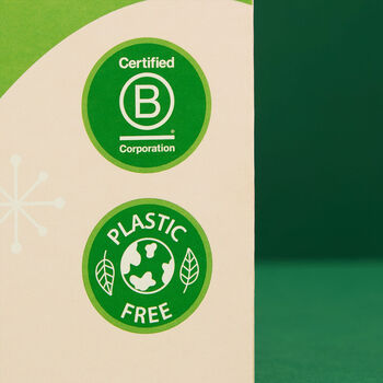 Matcha Tea Advent Calendar 2025, 5 of 6