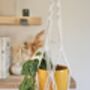 Diy Macrame Plant Hanger Kit, thumbnail 9 of 10