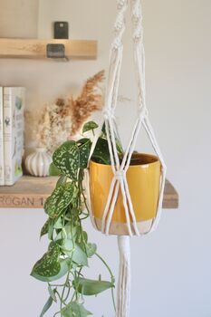 Diy Macrame Plant Hanger Kit, 9 of 10