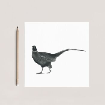 Pheasant Greeting Card For Countryside Lovers, 8 of 8