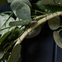 Luxury Natural Christmas Wreath, thumbnail 5 of 6