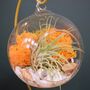 Diy Air Plant Terrarium Kit Hanging Terrarium Gift Orange Moss With Optional Gold Stand, thumbnail 3 of 6