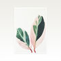 Pink Leaves I Photographic Still Life Print, thumbnail 2 of 2