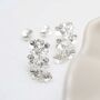 Sterling Silver Forget Me Not Drop Earrings, thumbnail 4 of 7