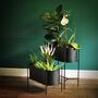 Black Oval Metal Planter Stand, thumbnail 5 of 8