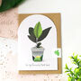 Set Of Six Houseplant Greeting Cards, thumbnail 6 of 12