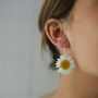 Daisy Flower Sterling Silver Or Gold Plated Earrings, thumbnail 7 of 12