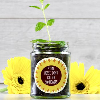 Personalised 'Don't Kill Me' Sunflower Jar Grow Kit, 11 of 12