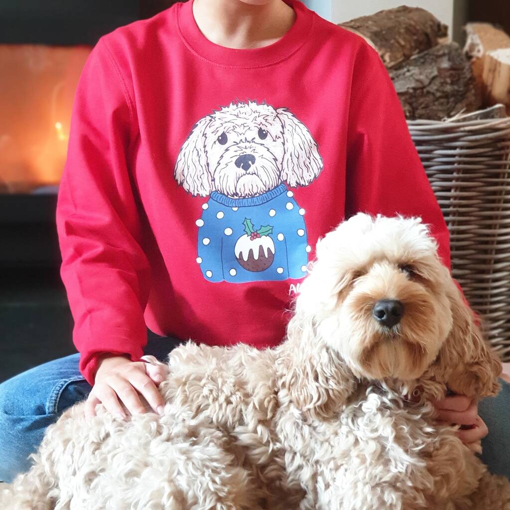 Personalised Christmas Pudding Dog Jumper Sweater By Syd&amp;Co