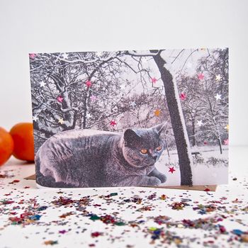 British Blue Shorthair Cat Snow Christmas Card, 2 of 5