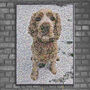Personalised Gift For Pet Lovers, thumbnail 1 of 7