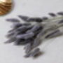 Grey Dried Fluffy Bunny Tails, thumbnail 1 of 4