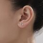 Sterling Silver Sycamore Seed Stud Earrings, thumbnail 6 of 12