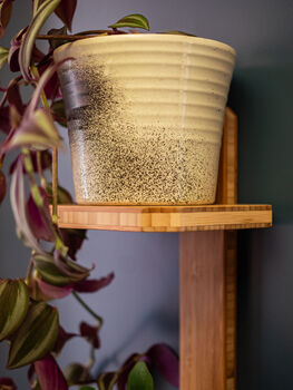 Bamboo Double Plant Shelf, 2 of 3