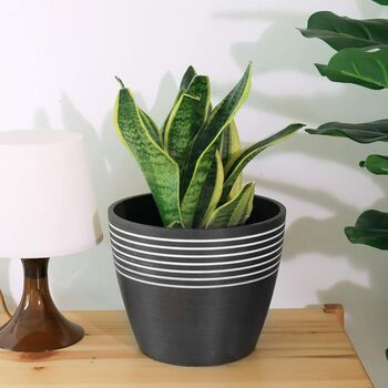 Contemporary Stripe Pattern Indoor Planter Flower Pot, 11 of 12