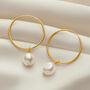 Large Gold Hoop Earrings With White Freshwater Pearls, thumbnail 2 of 6