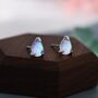 Sterling Silver Droplet Moonstone Stud Earrings, thumbnail 7 of 12