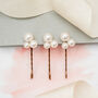 Set Of Three Large Pearl Cluster Bobby Pins, thumbnail 2 of 4