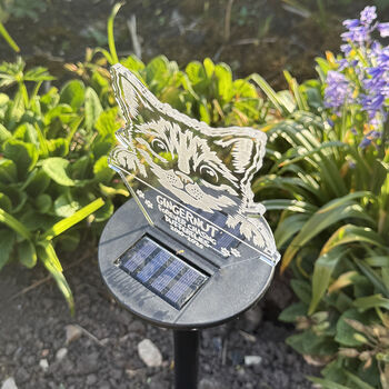 Pet Cat Memorial Colour Changing Solar Garden Light, 3 of 7