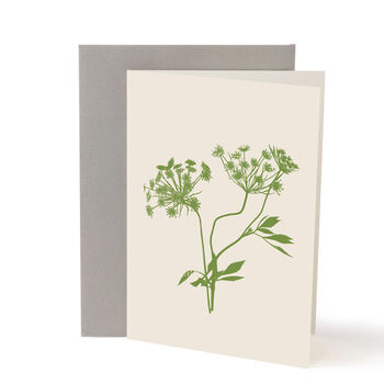 Cow Parsley Green Notecard, 3 of 3