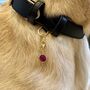 Ruby Matching Owner Necklace And Pet Collar Charm Set, thumbnail 4 of 7