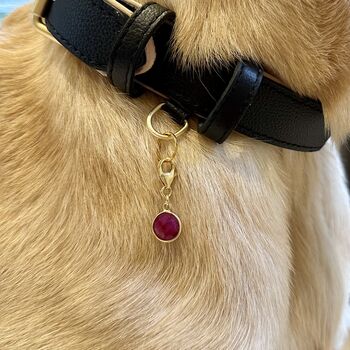 Ruby Matching Owner Necklace And Pet Collar Charm Set, 4 of 7