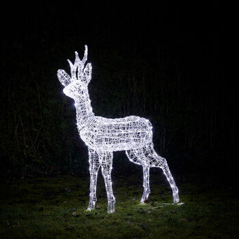 Swinsty Stag Dual Colour LED Light Up Reindeer One.25m, 4 of 9