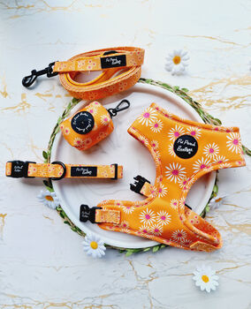 Orange Daisies Dog Collar, 4 of 6