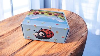 Ladybird Socks With Gift Box – Fun Gift One Size, 6 of 7